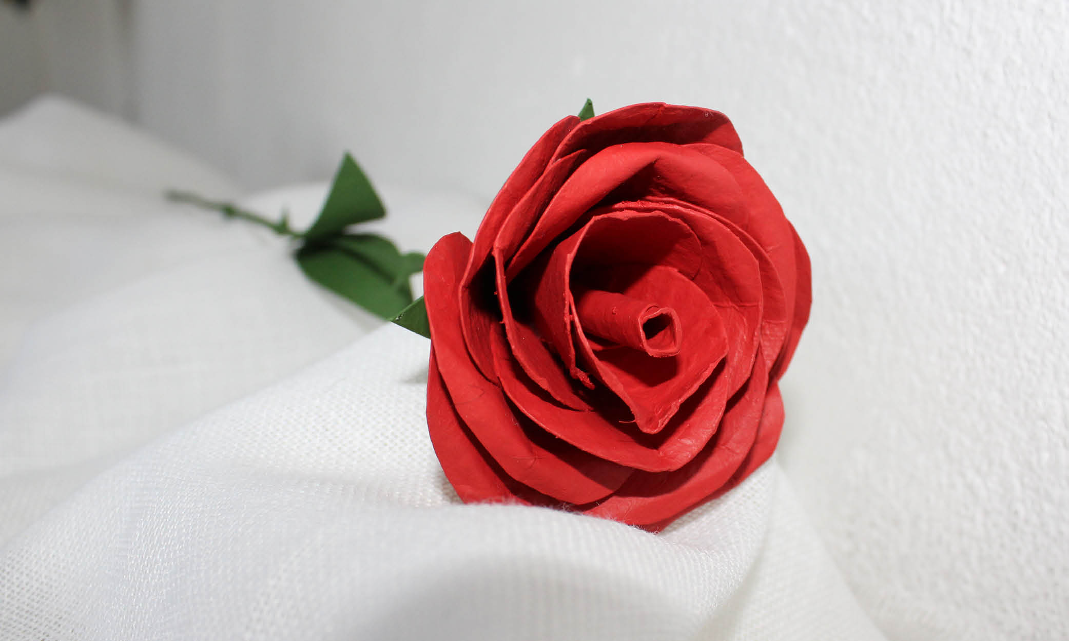 rosa roja lafundació
