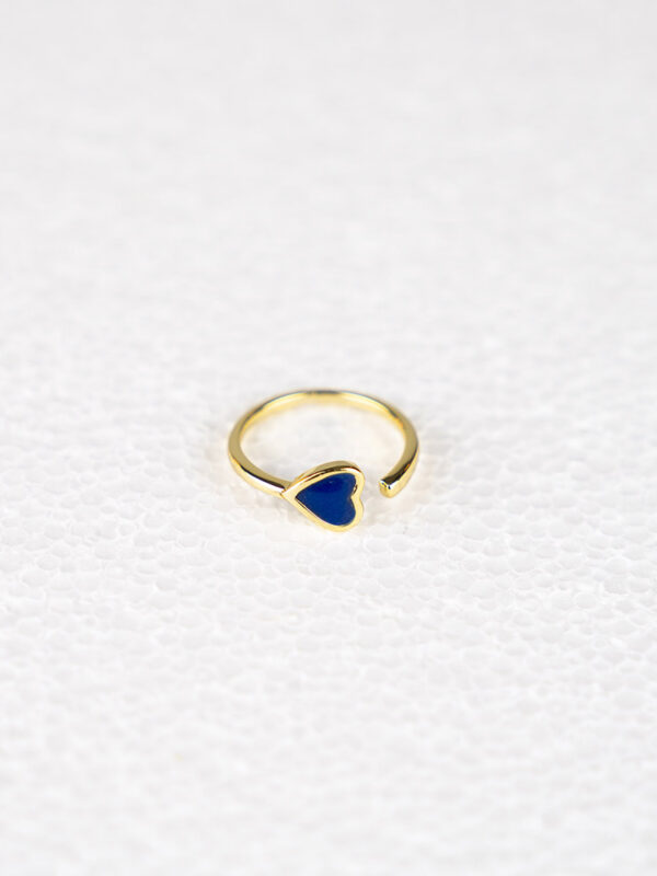 Anillo Confianza-Valores Compartidos